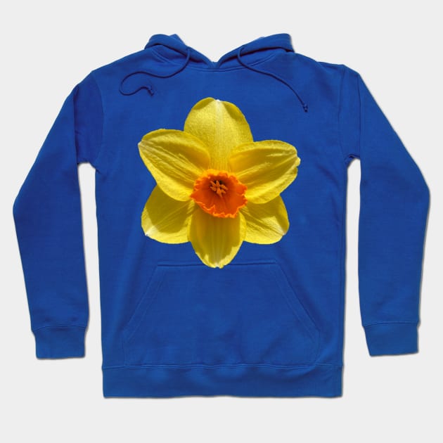 Daffodil Hoodie by Amanda1775